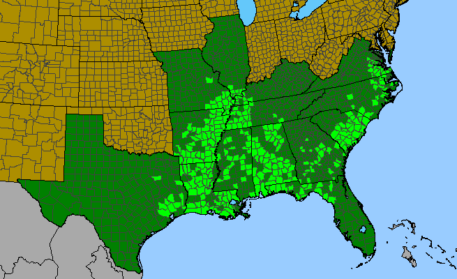 The range of Nyssa aquatica